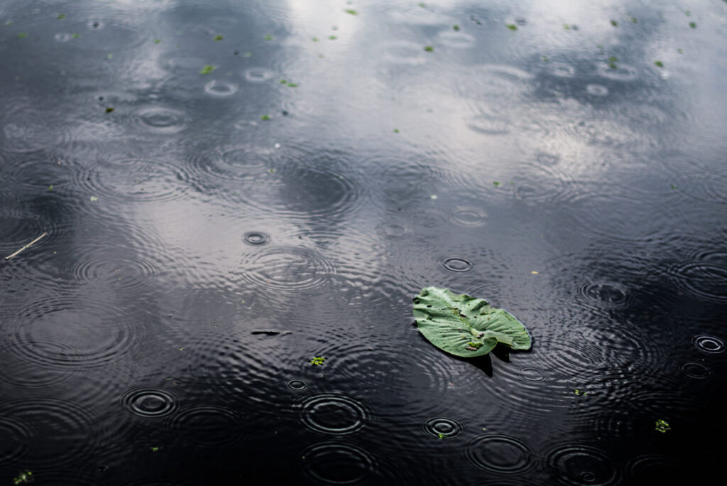 El agua de lluvia se puede beber