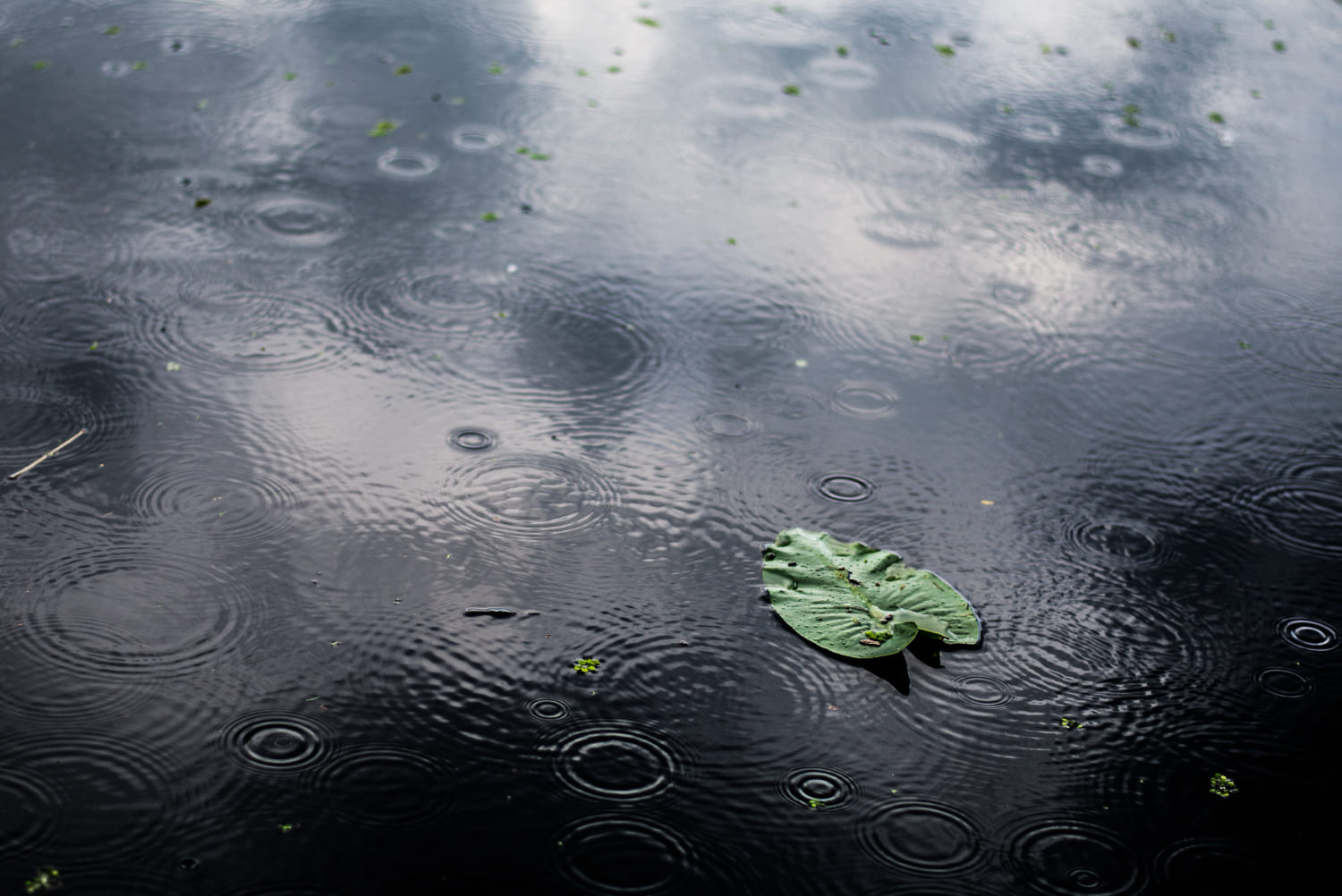 El agua de lluvia se puede beber
