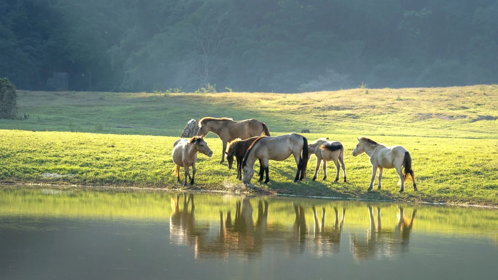 artículos de agua potable