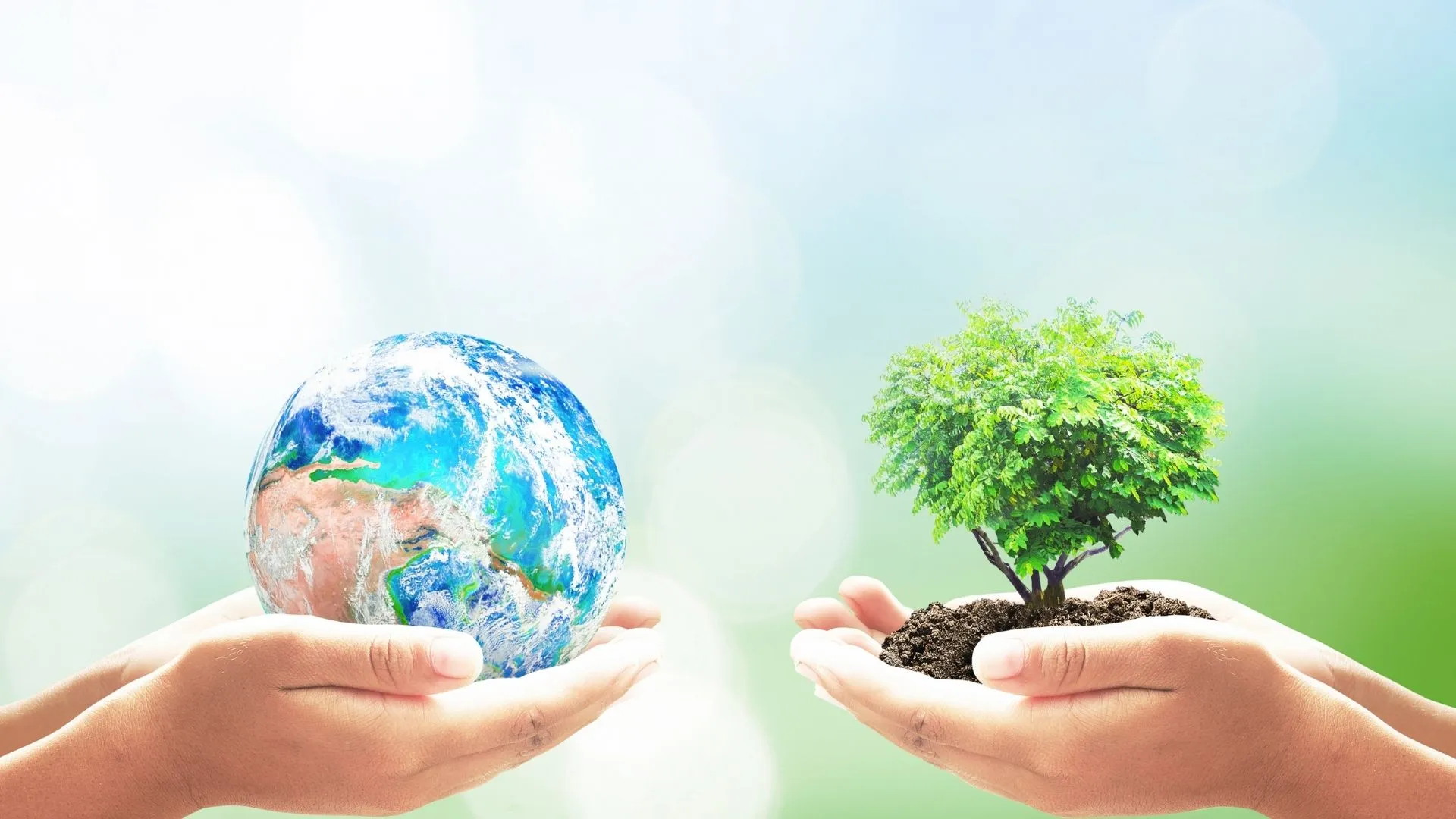 medio ambiente